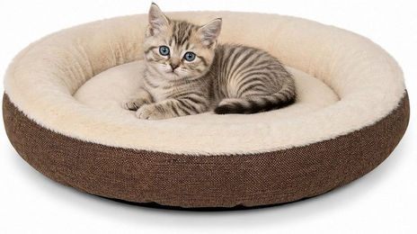 lionto Katzenkissen Donut-Design aus Oxford-Gewebe und Plüsch in Braun mit abnehmbarem Bezug – Bild 1 von 5