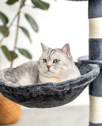 lionto Liegemulde für Katzen aus Plüsch mit Metallrahmen Dunkelgrau Ø 40 cm – Bild 1 von 5