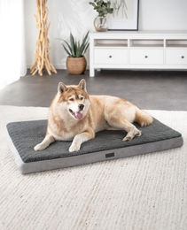Lionto Orthopädisches Hundebett CozyPad aus Plüsch in Grau für alle Altersstufen – Bild 1 von 5