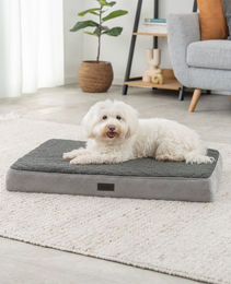 Lionto Orthopädisches Hundebett CozyPad aus Plüsch in Grau für alle Altersstufen – Bild 1 von 5
