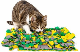 Lionto Schnüffelteppich für Katzen als Beschäftigungsspielzeug zur geistigen Förderung, 50x34 cm, gelb/grün – Bild 1 von 1