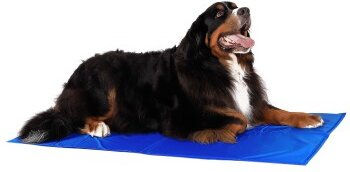 Lionto Selbstkühlende Hundematte für Hunde und Katzen in Blau Größe L – Bild 1 von 8