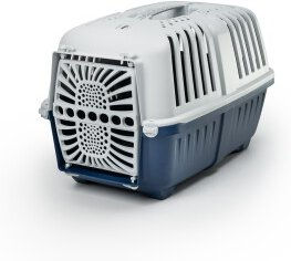 Lionto Transportbox aus Plastik Blau Größe M – Bild 1 von 1