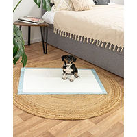Produktbild von lionto Welpenunterlagen 6-lagige Trainingspads für Hunde 100 Stück - 100 x 60 g