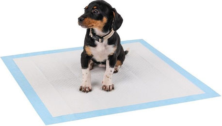 Lionto Welpenunterlagen 6-lagige Trainingspads für Hunde mit Klebestreifen 100 Stück 60x60 cm auslaufsicher und saugstark blau/weiß - 100 x 60 cm – Bild 1 von 7