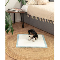 Produktbild von Lionto Welpenunterlagen 6-lagige Trainingspads für Hunde mit Klebestreifen 50 Stück 60x60 cm auslaufsicher und saugstark - 50 x 60 cm
