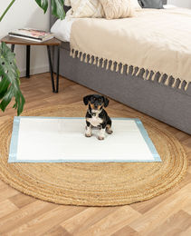 Lionto Welpenunterlagen 6-lagige Trainingspads für Hunde mit Klebestreifen 50 Stück 60x90 cm auslaufsicher und saugstark blau/weiß - 50 x 60 g – Bild 1 von 6