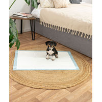 Produktbild von Lionto Welpenunterlagen 6-lagige Trainingspads für Hunde mit Klebestreifen 50 Stück 60x90 cm auslaufsicher und saugstark blau/weiß - 50 x 60 g