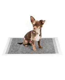 lionto Welpenunterlagen mit Kohlefaser 6-lagige Hunde Hygieneunterlagen 60x60 cm 100 Stück – Bild 1 von 7