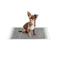 Produktbild von lionto Welpenunterlagen mit Kohlefaser 6-lagige Hunde Hygieneunterlagen 60x60 cm 100 Stück