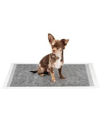 lionto Welpenunterlagen mit Kohlefaser 6-lagige Hundetrainingpads 60x90 cm 50 Stück – Bild 1 von 7