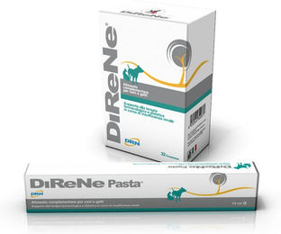 Livisto DiReNe Tabletten Ergänzungsfuttermittel für Hunde und Katzen zur Unterstützung der Nieren und Harnwege 32 Stück – Bild 1 von 3