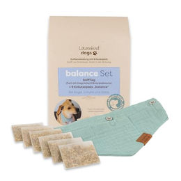 Löwenkind Dogs Natürliches Beruhigungsmittel für Hunde Set mit 6 Kräuterpads und SniffTag – Bild 1 von 3