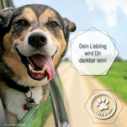 Produktbild von Lolo & Max DentaClean Zahnpflege Spray Classic für alle Altersstufen 130ml