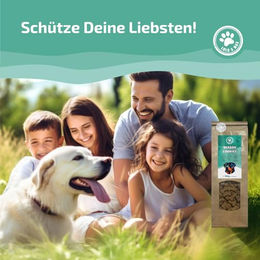 Lolo & Max Season Cookies Hundeleckerlis vegan hypoallergen glutenfrei 350g – Bild 1 von 7