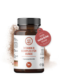 Produktbild von Lolo & Max Vitamin B Komplex Tabletten für Hunde und Katzen 240g