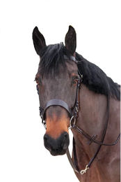 Produktbild von Longe Reiten Canter Longierbedarf aus Leder in Braun für Vollblut