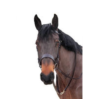 Produktbild von Longe Reiten Canter Longierbedarf aus Leder in Braun für Vollblut