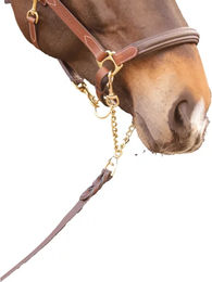 Longe zum Vorzeigen aus Leder von Paddock Sports – Bild 1 von 1
