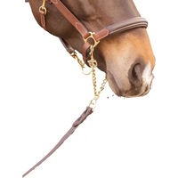 Produktbild von Longe zum Vorzeigen aus Leder von Paddock Sports