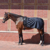 Produktbild von Longierdecke RAIN 50 Schwarz
