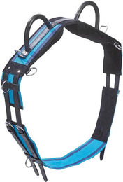 Longiergurt Double für Warmblut in Navy/Sky Blue aus Canvas – Bild 1 von 2