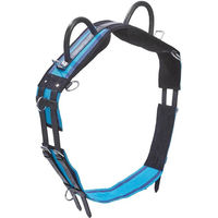 Produktbild von Longiergurt Double für Warmblut in Navy/Sky Blue aus Canvas