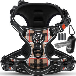 Lovpet Hundegeschirr No-Pull Sicherheitsgeschirr für Hunde und Welpen atmungsaktiv und wasserabweisend Beige XL – Bild 1 von 12