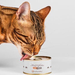 Produktbild von Lucky-Kitty Katzen Nassfutter Maus Pur Monoprotein Paté 4x100 g