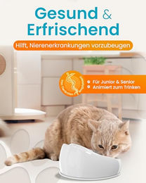 Lucky-Kitty Katzenbrunnen aus Keramik in Grün mit Pumpe für Katzen 1,5L - 1,5 l – Bild 1 von 4