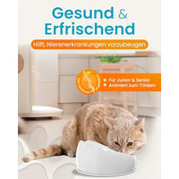 Produktbild von Lucky-Kitty Katzenbrunnen aus Keramik in Grün mit Pumpe für Katzen 1,5L - 1,5 l