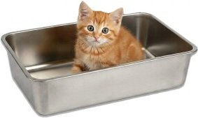 Lucky-Kitty Katzentoilette für Kitten offene Schale aus Edelstahl Natur mattiert – Bild 1 von 3