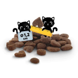 Lucky Lou Trockenfutter für Katzen Adult Geflügel und Lachs getreidefrei 2x3 kg - 2 x 3 kg – Bild 1 von 2