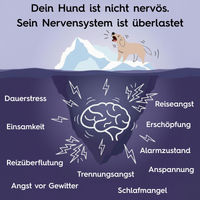 Produktbild von Lucky-Pet Beruhigungstabletten für Hunde und Katzen mit L-Tryptophan und Baldrian