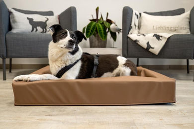 Produktbild von Lucky-Pet Hundebett Kvadro aus Kunstleder in Braun für Gelenke und Allergiker