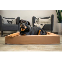 Produktbild von Lucky-Pet Visco-Hundebett Kvadro aus Kunstleder in Cappuccino für alle Altersstufen