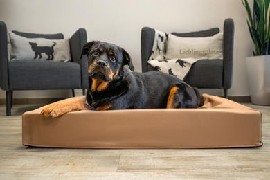 Produktbild von Lucky-Pet Visco-Hundebett Kvadro aus Kunstleder in Cappuccino für alle Altersstufen