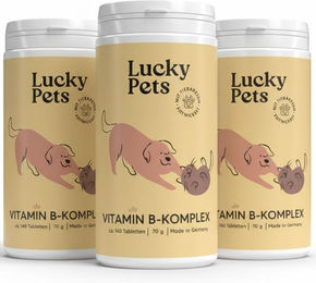 Lucky-Pet Vitamin B Komplex Tabletten für Hunde zur Unterstützung von Immunsystem, Haut und Fell – Bild 1 von 4