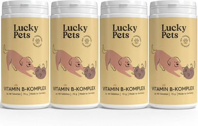 Lucky-Pet Vitamin B Komplex Tabletten zur Immunstärkung sowie für Haut und Fell für Hunde – Bild 1 von 4
