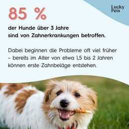 Lucky-Pet Zahnpflegepulver für Hunde zur Zahnsteinentfernung und gegen Mundgeruch 1000g – Bild 1 von 3