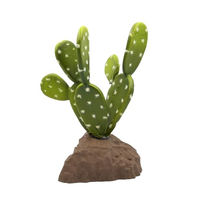 Produktbild von Lucky Reptile Biberschwanzkaktus