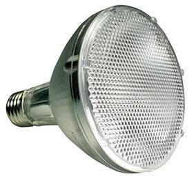 Lucky Reptile Bright Sun UV Desert Tageslichtlampe für Echsen 100 Watt - 1 Stk. – Bild 1 von 2