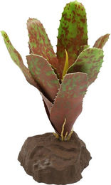 Lucky Reptile Bromelie Neoregelia grün 20 cm Dekopflanze für Terrarien für Echsen und Frösche – Bild 1 von 3