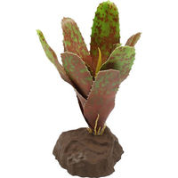 Produktbild von Lucky Reptile Bromelie Neoregelia grün 20 cm Dekopflanze für Terrarien für Echsen und Frösche