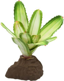 Lucky Reptile Bromelie Neoregelia weiß 20 cm Dekopflanze für Terrarien – Bild 1 von 2