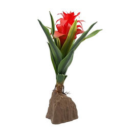 Lucky Reptile Bromelie rote Pflanze für Reptilien und Frösche 30 cm – Bild 1 von 4