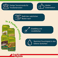 Produktbild von Lucky Reptile Desert Bedding Terrarienerde Natur Braun für Echsen 20 Liter - 20 l