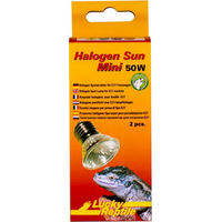 Produktbild von Lucky Reptile Halogen Sun Mini Wärmespot Doppelpack 2x 50W für Reptilien - 2 x 50 Pack