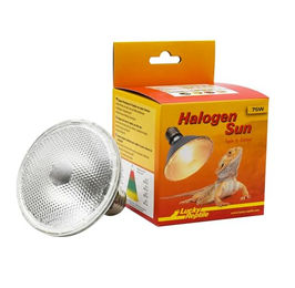 Lucky Reptile Halogen Sun Wärmespot für Reptilien 75 Watt - 1 Stk. – Bild 1 von 4