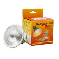 Produktbild von Lucky Reptile Halogen Sun Wärmespot für Reptilien 75 Watt - 1 Stk.